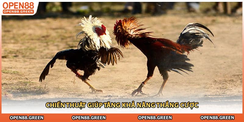 Chiến thuật giúp tăng khả năng thắng cược