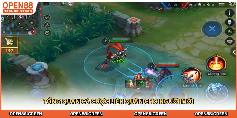 Tổng quan cá cược liên quân cho người mới